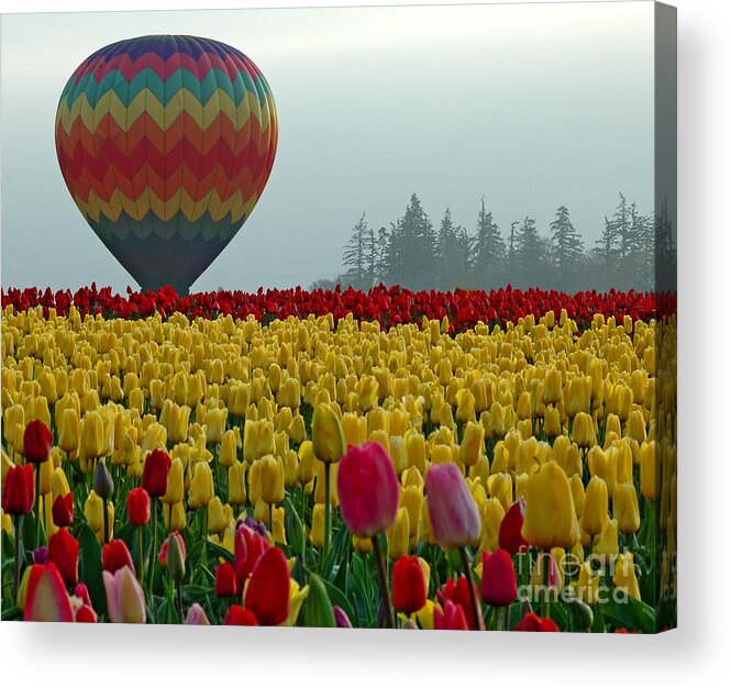 Pacific Acrylic Print featuring the photograph Waiting For Lift Off by Nick Boren