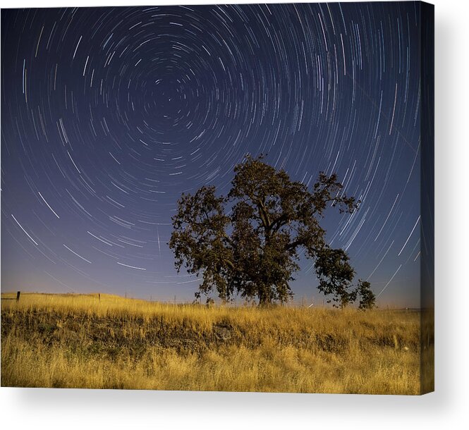 Sacramento Acrylic Print featuring the photograph Watching Polaris by Lee Harland