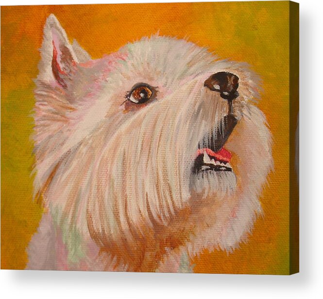 Dog Acrylic Print featuring the painting Westie Portrait by Taiche Acrylic Art