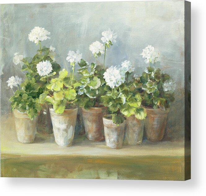 Clay Pot Acrylic Print featuring the painting White Geraniums by Danhui Nai