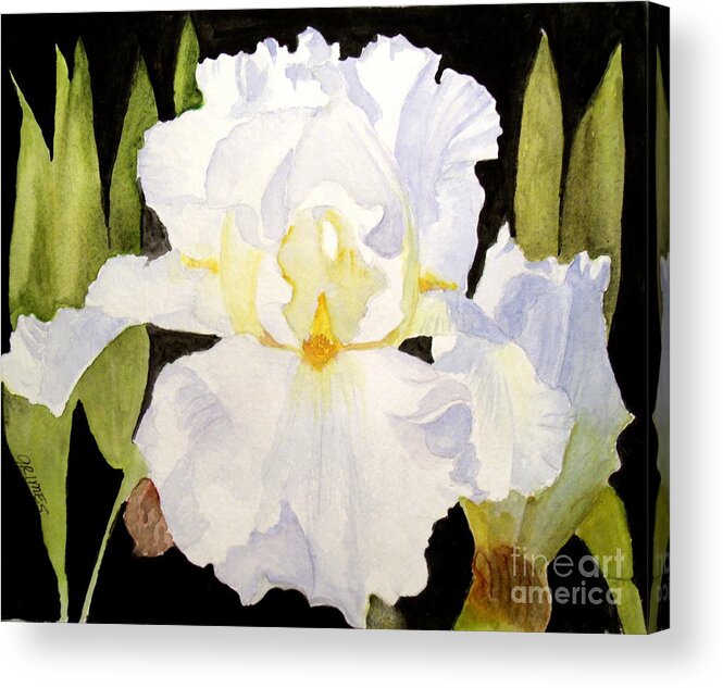 Iris Acrylic Print featuring the painting White Iris in the Garden by Carol Grimes