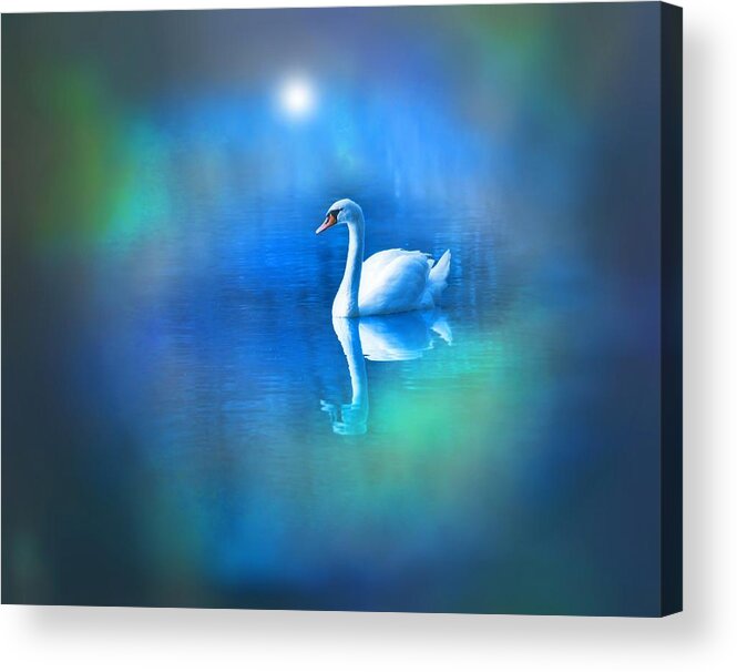 White Swan Acrylic Print featuring the digital art White Swan in blue fog by Lilia S