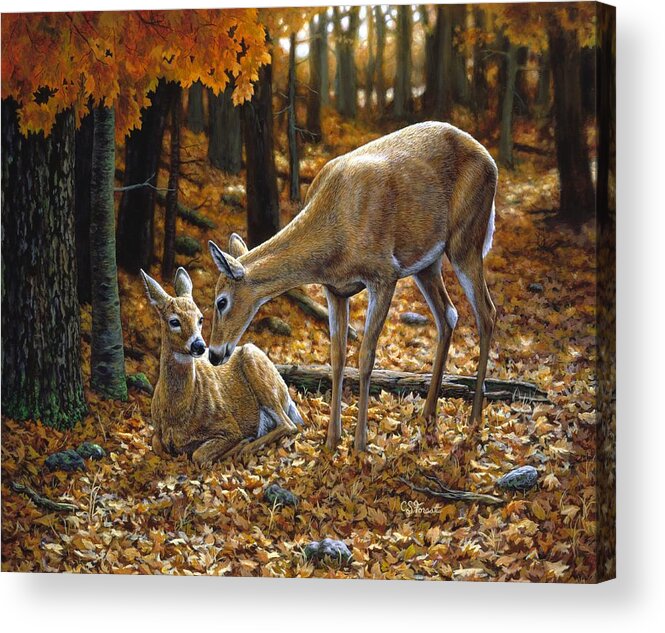Deer Acrylic Print featuring the painting Whitetail Deer - Autumn Innocence 2 by Crista Forest