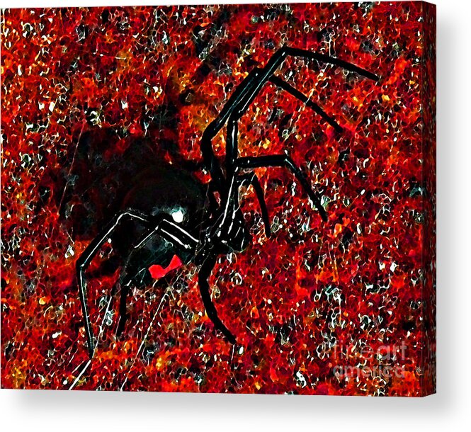 Black Widow Spider Acrylic Print featuring the photograph Wicked Widow - Rouge by Al Powell Photography USA
