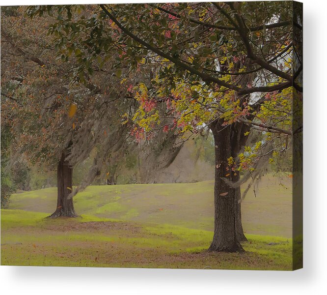 Trees Acrylic Print featuring the photograph Windy Edge by Pete Rems