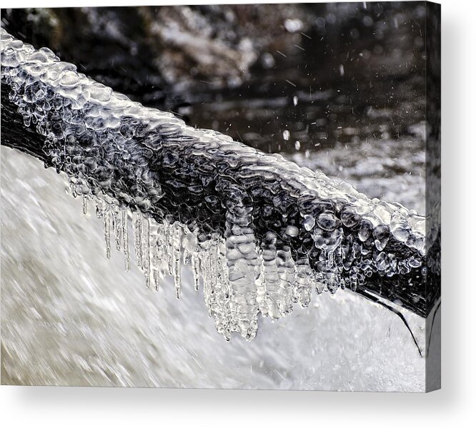 Cold Acrylic Print featuring the photograph Winter Jewels I by Alan Norsworthy