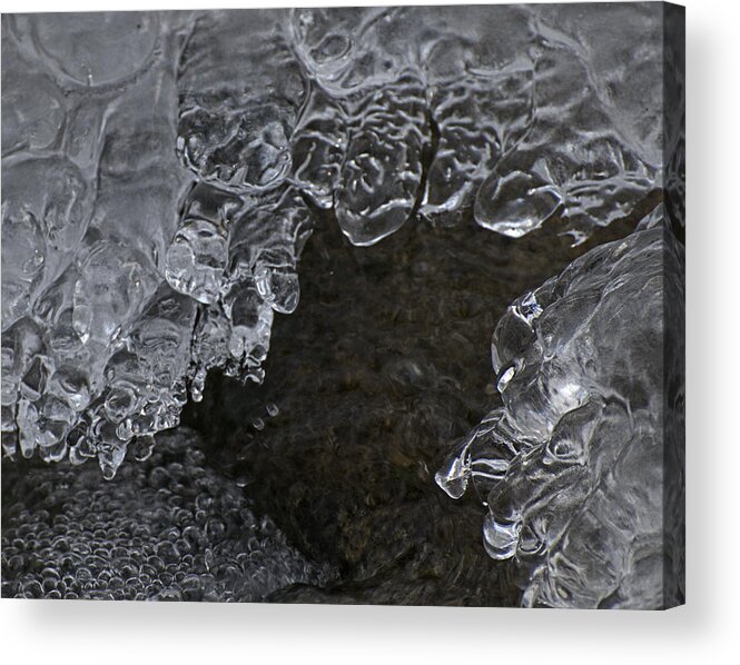 Cold Acrylic Print featuring the photograph Winter Jewels III by Alan Norsworthy