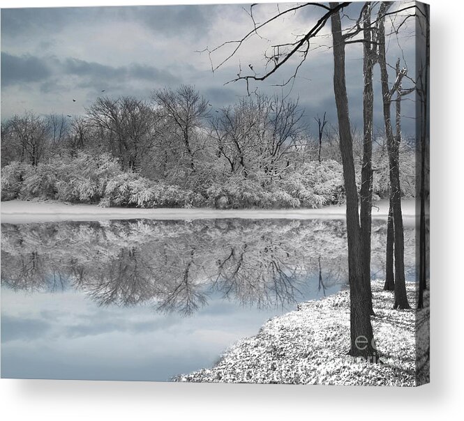 Winter Landscape Acrylic Print featuring the photograph Winters Delight 6 by Cedric Hampton