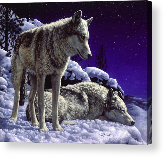 Wolf Acrylic Print featuring the painting Wolf Painting - Night Watch by Crista Forest