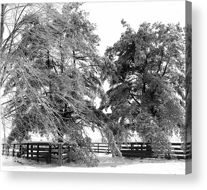 Wood Fence Acrylic Print featuring the photograph Wood Fence by William Haggart