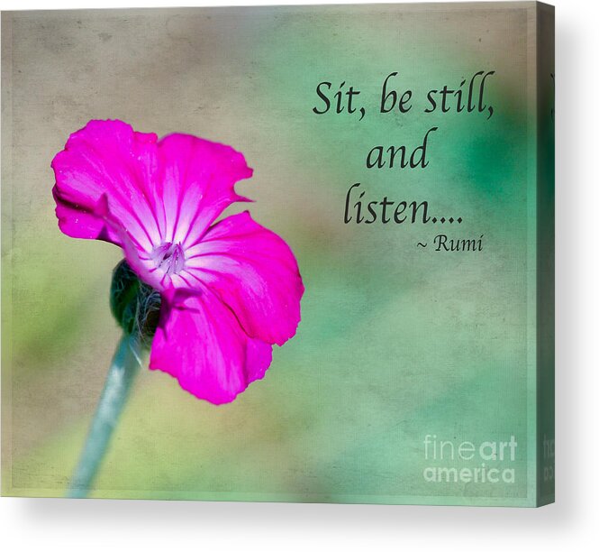 Pink Flower Acrylic Print featuring the photograph Words from Rumi by Kerri Farley