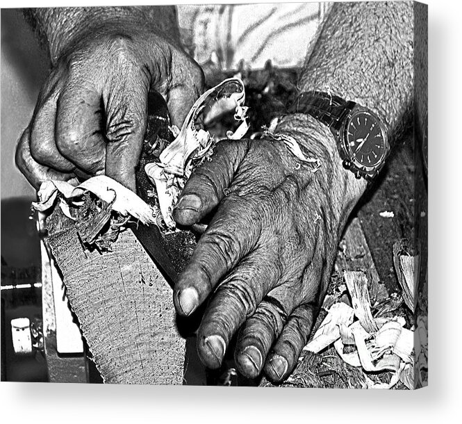 Diane Berry Acrylic Print featuring the photograph Working Hands by Diane E Berry