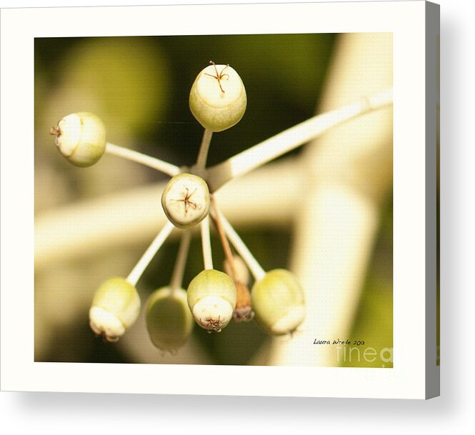 Berries Acrylic Print featuring the photograph Yellow Berries by Artist and Photographer Laura Wrede