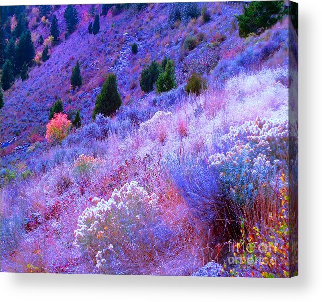 Hillside Acrylic Print featuring the photograph Yellowstone Summer by Ann Johndro-Collins