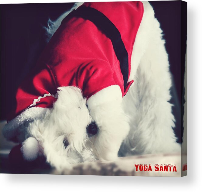 Dog Acrylic Print featuring the photograph Yoga Santa by Melanie Lankford Photography