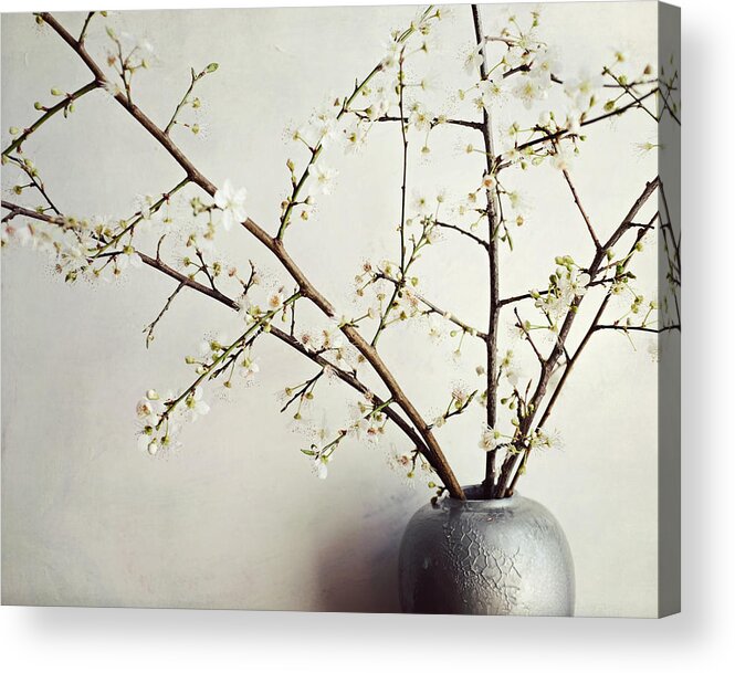 Neutral Still Life Acrylic Print featuring the photograph Zen Bouquet by Lupen Grainne
