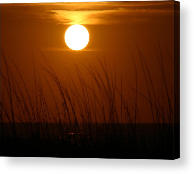Florida Sunrise Acrylic Print featuring the photograph Florida Sunrise #1 by Jeanne Andrews