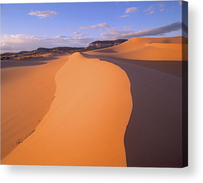00175735 Acrylic Print featuring the photograph Wind Ripples In Sand Dunes #1 by Tim Fitzharris