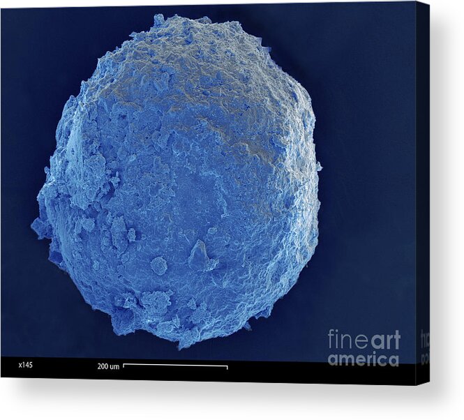 Cretaceous-tertiary Extinction Event Acrylic Print featuring the photograph Sem Of Cretaceous-tertiary Kt Meteorite #3 by Ted Kinsman