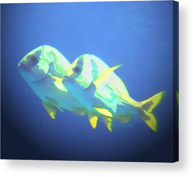 Steve Sperry Mighty Sight Studio Photo Art Acrylic Print featuring the photograph And They Call it Fishy Love by Steve Sperry