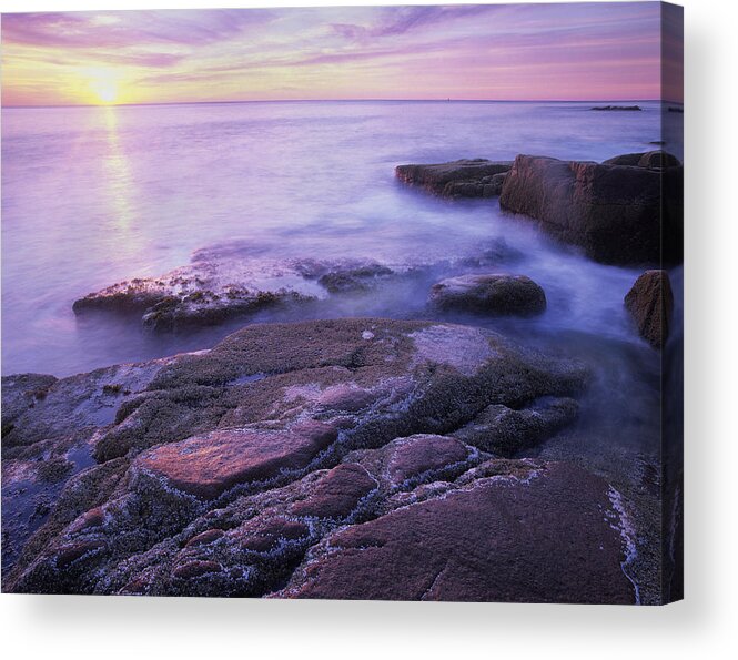 00175669 Acrylic Print featuring the photograph Atlantic Coast Near Thunder Hole Acadia by Tim Fitzharris