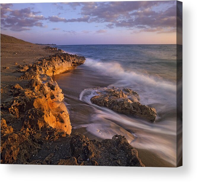 00176751 Acrylic Print featuring the photograph Beach At Dusk Blowing Rocks Preserve by Tim Fitzharris