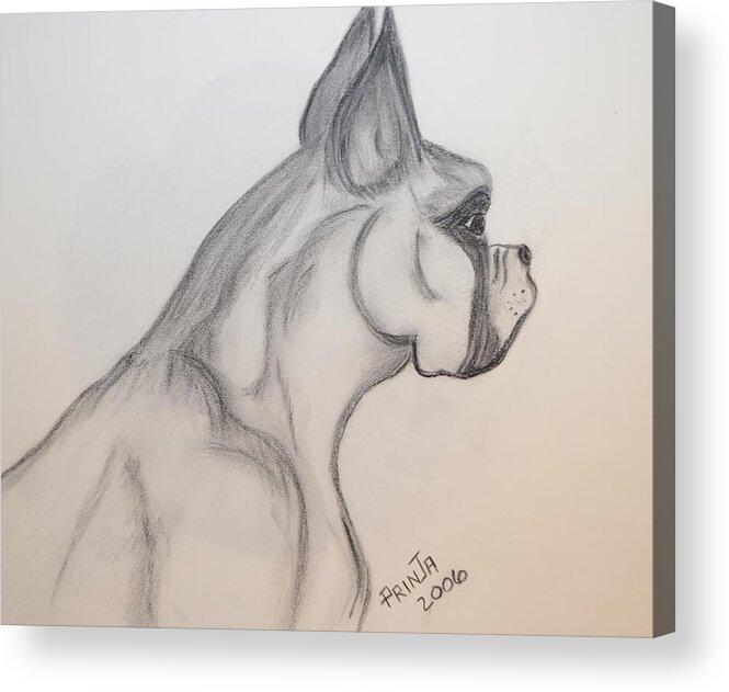 Boxer Acrylic Print featuring the drawing Big Boxer by Maria Urso
