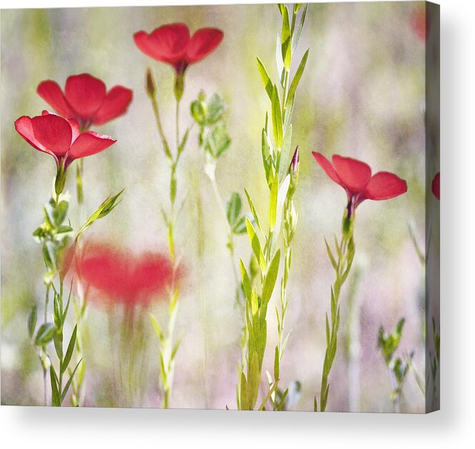 Texture Acrylic Print featuring the photograph Bliss Kiss by Joel Olives