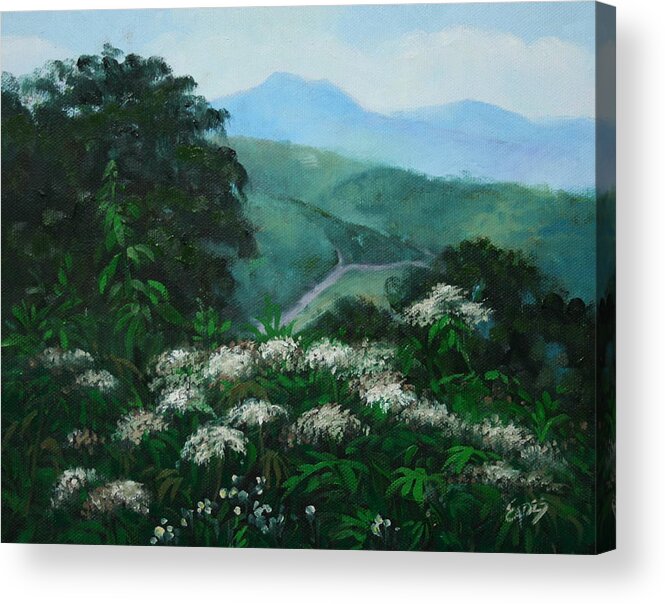 Mountains Acrylic Print featuring the painting Blue Ridge Summer by Linda Eades Blackburn