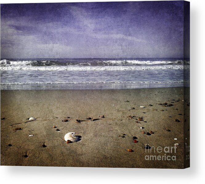 Shell Acrylic Print featuring the photograph Broken Shell at Twilight by Laura Iverson