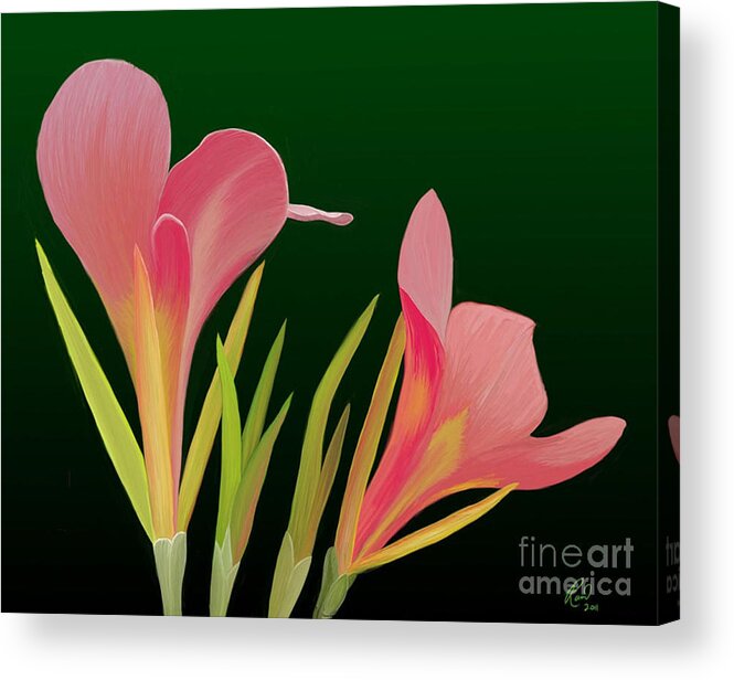 Flowers Acrylic Print featuring the painting Canna Lilly Whimsy by Rand Herron
