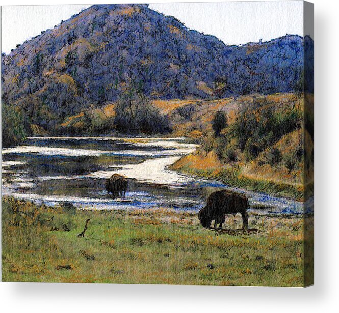 California Acrylic Print featuring the mixed media Catalina Buffalo SOLD by Randy Sprout