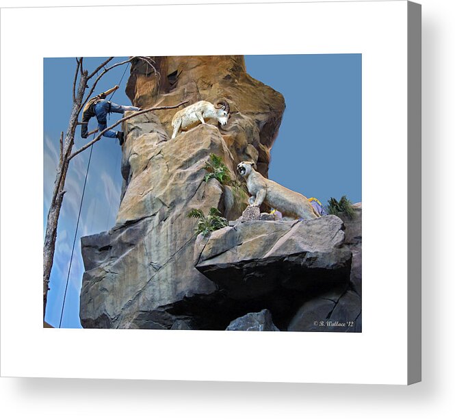 Cliffhanger Acrylic Print featuring the photograph Cliffhanger by Brian Wallace