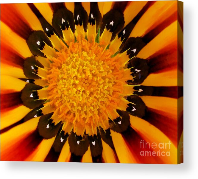 Flower Design Acrylic Print featuring the digital art Design in Creation by L J Oakes