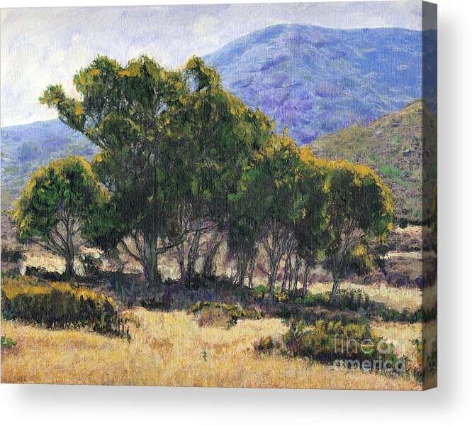 California Acrylic Print featuring the painting Eucalyptus Grove Catalina by Randy Sprout