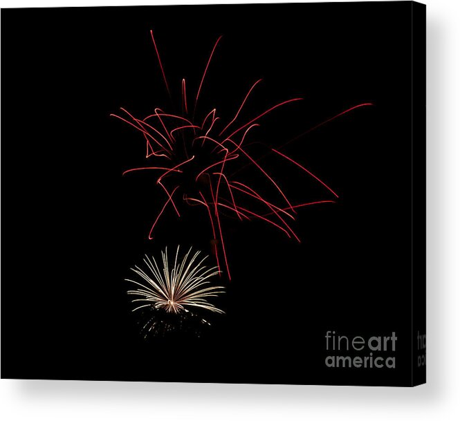 Fireworks Acrylic Print featuring the photograph Fireworks 6 by Mark Dodd