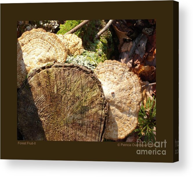 Mushroom Acrylic Print featuring the photograph Forest Fruit-II by Patricia Overmoyer