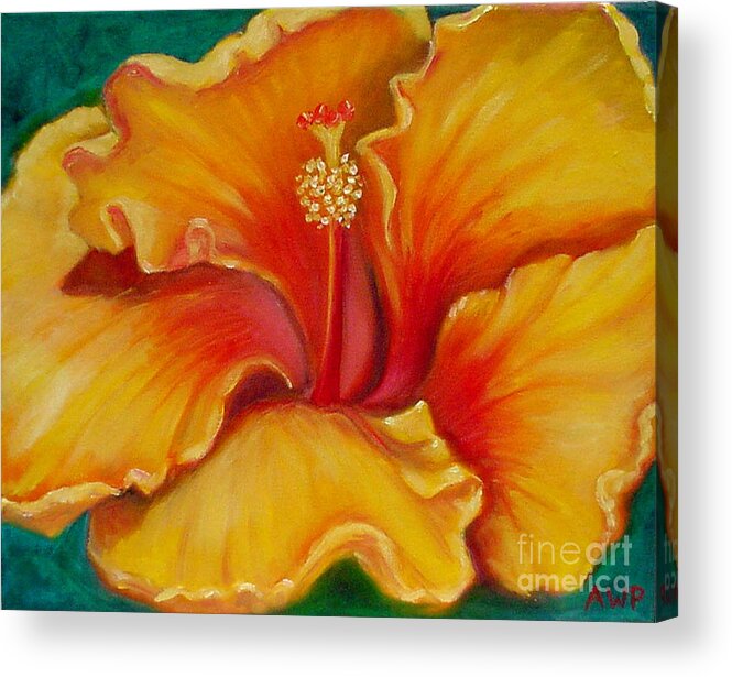 Golden Acrylic Print featuring the painting Golden Hibiscus by Audrey Peaty