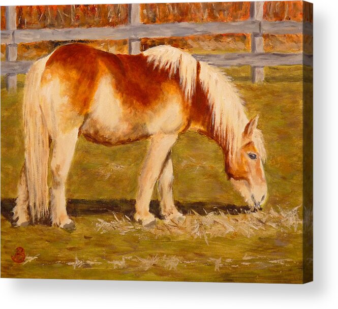 Pony Acrylic Print featuring the painting Grahm by Joe Bergholm