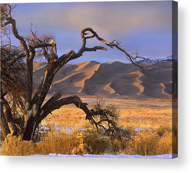 00176731 Acrylic Print featuring the photograph Grasslands And Dunes Great Sand Dunes by Tim Fitzharris