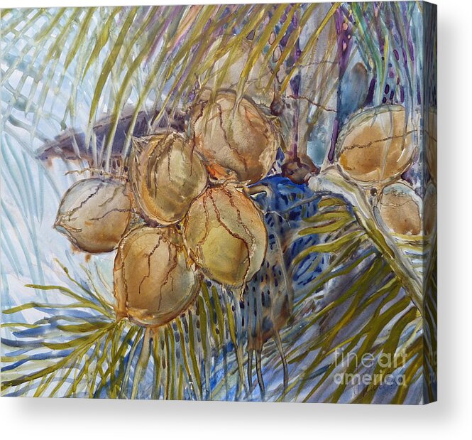 Coconut Acrylic Print featuring the painting Hawaiian Cluster by Louise Peardon