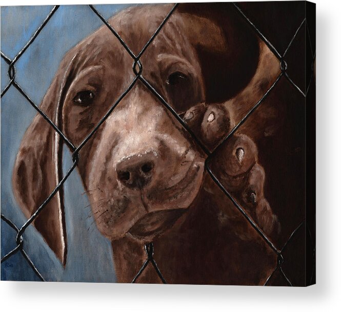 Pet Acrylic Print featuring the painting Help Release Me I by Vic Ritchey