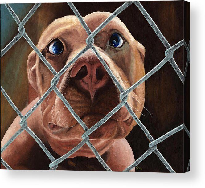 Pet Acrylic Print featuring the painting Help Release Me III by Vic Ritchey
