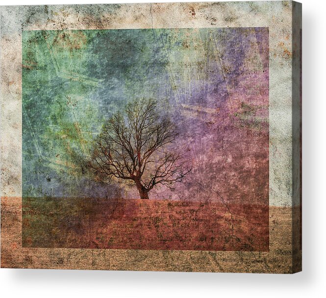 Tree Acrylic Print featuring the photograph Lean On Me by Trish Tritz
