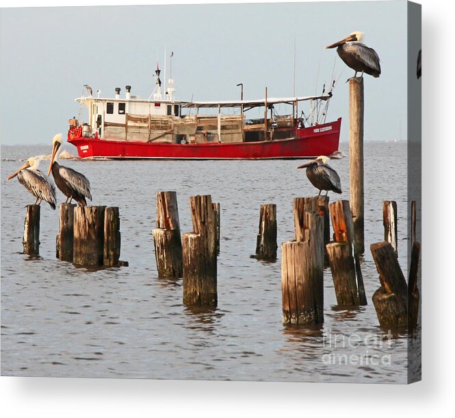 Osyters Acrylic Print featuring the photograph Life on Lake Ponchartrain by Luana K Perez