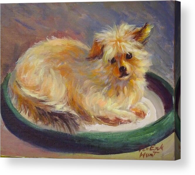 Dog Acrylic Print featuring the painting My Little Morky by Gretchen Ten Eyck Hunt