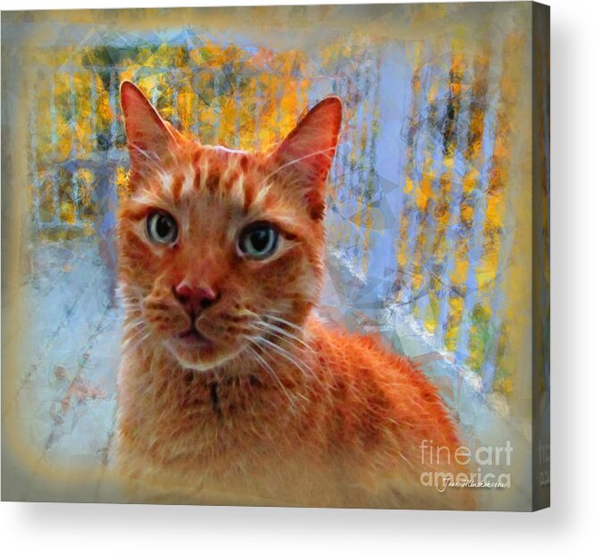Cat Acrylic Print featuring the photograph Napoleon and Autumn by Joan Minchak