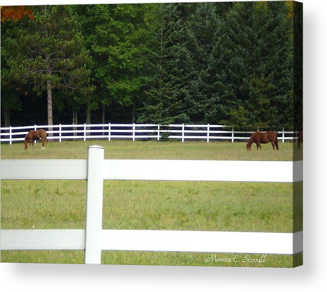  Acrylic Print featuring the photograph Nature Collection by Monica C Stovall