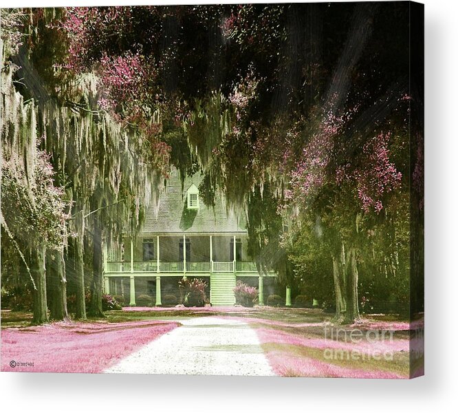 Raised Cottage Style Acrylic Print featuring the digital art Parlange Plantation circa 1750 New Roads La by Lizi Beard-Ward