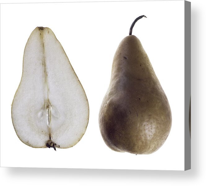 Fruit Acrylic Print featuring the photograph Pear by Nathaniel Kolby